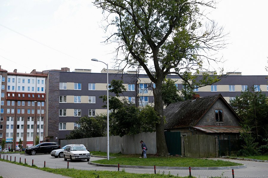 _NEV7303.jpg _NEV7303.jpg