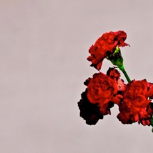 John Legend