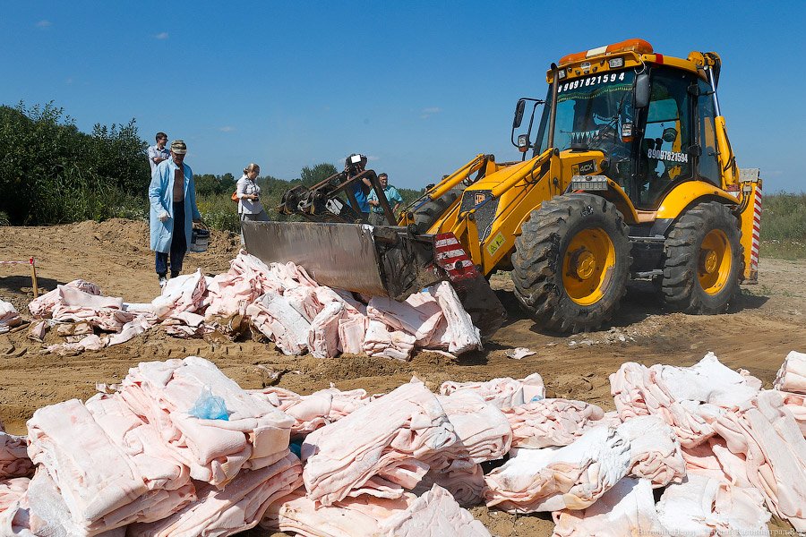 _NEV1622.jpg _NEV1622.jpg