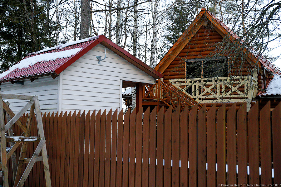 _NEV7803.jpg _NEV7803.jpg