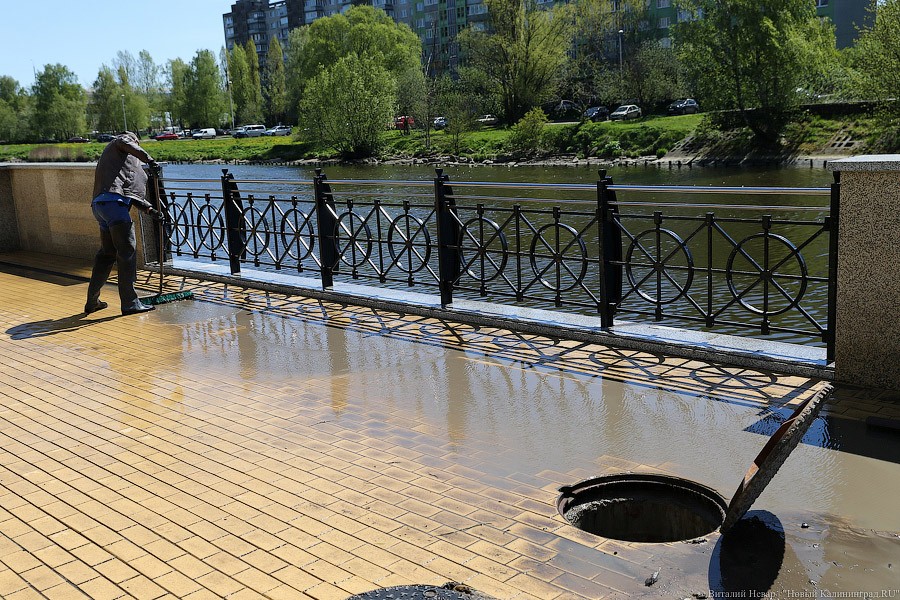 калининград улица адмирала трибуца. новосибирский полумарафон раевича 2013. набережная трибуца калининград. яркие моменты на трибуца. набережная трибуца калининград.
