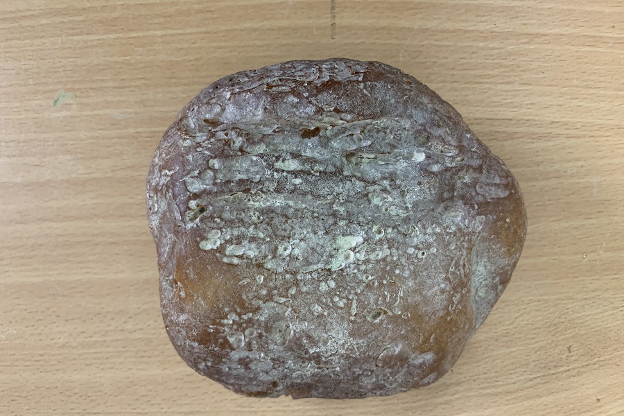 «Олимпиец» «Олимпиец»