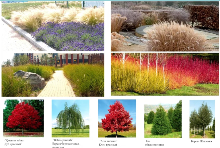 Остров14_1.jpg Остров14_1.jpg