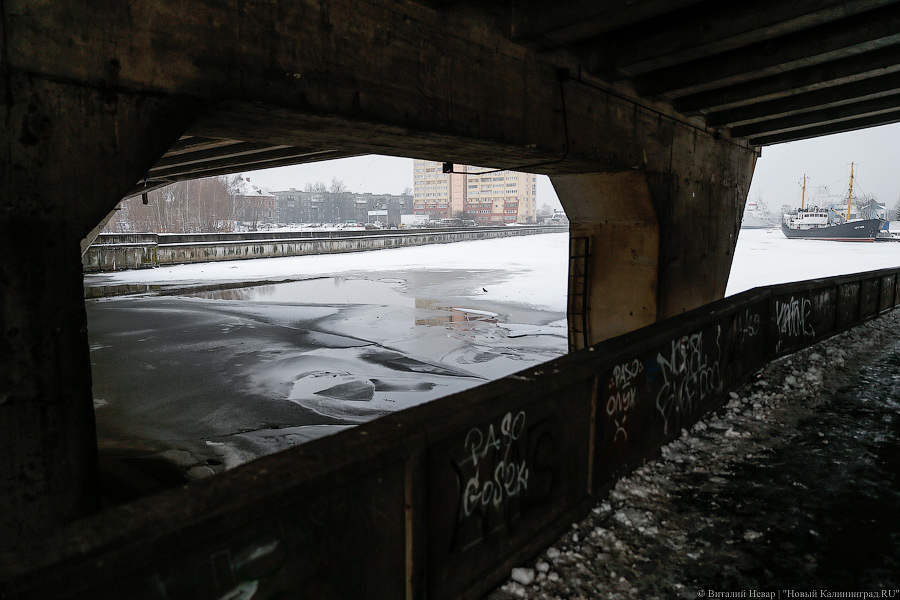 _NEV4960.jpg _NEV4960.jpg