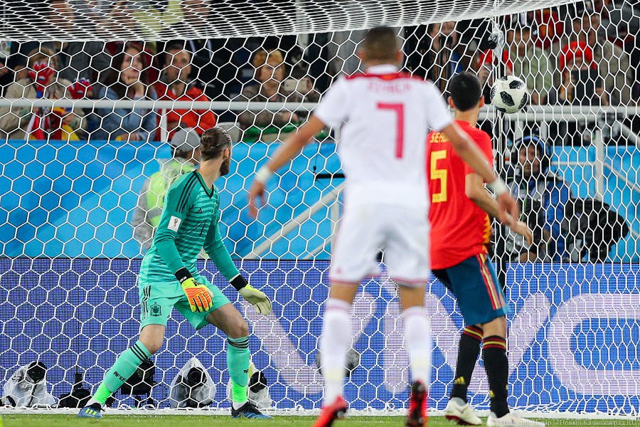 AM1I4850.jpg AM1I4850.jpg