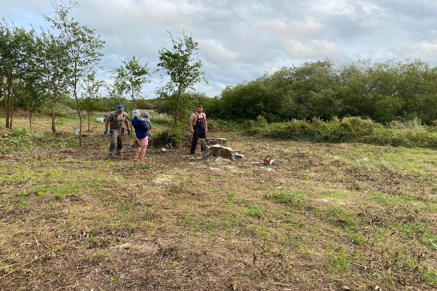 заливино участки1 ОБР.jpg