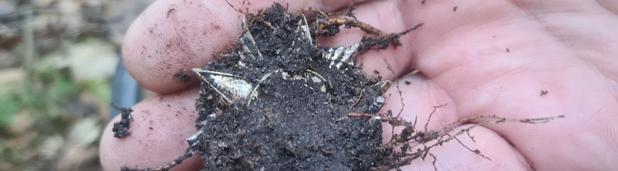 snuxstq73ux18x4siwrt80dqf50fibvu_cr.jpg snuxstq73ux18x4siwrt80dqf50fibvu_cr.jpg