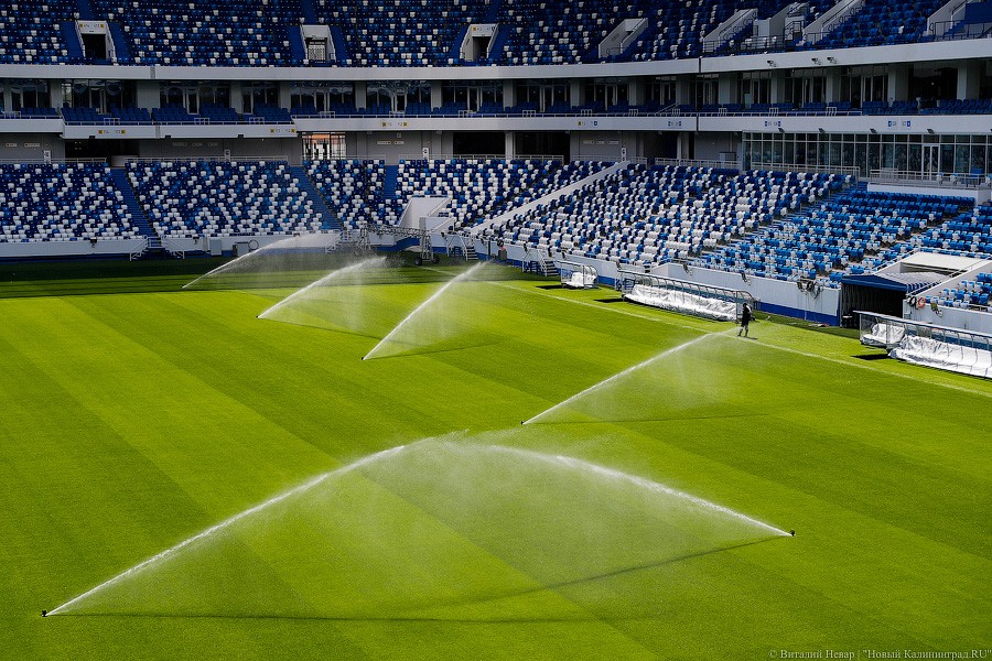 _NEV2631.jpg _NEV2631.jpg