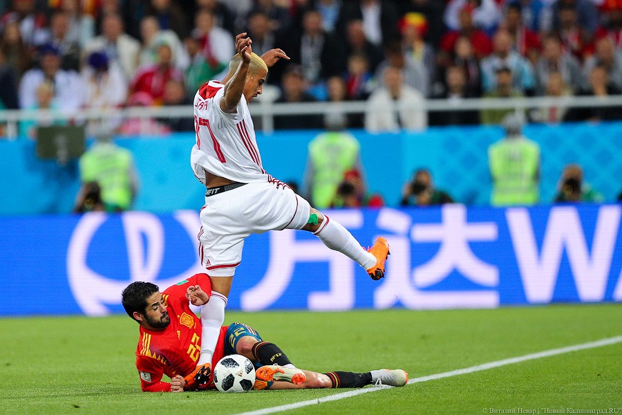 AM1I3942.jpg AM1I3942.jpg