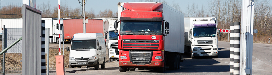 _NVR5458_cr.jpg _NVR5458_cr.jpg