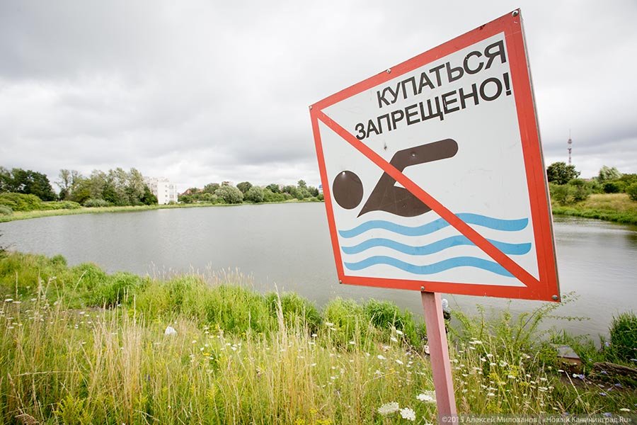 df55b1df9baf372dc39f0b0a4ccba2a8.jpg df55b1df9baf372dc39f0b0a4ccba2a8.jpg