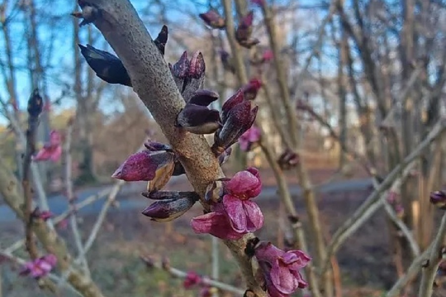 eb7b7876_d3b2_4558_9ff1_fe81319a5ba8 (1).jpg