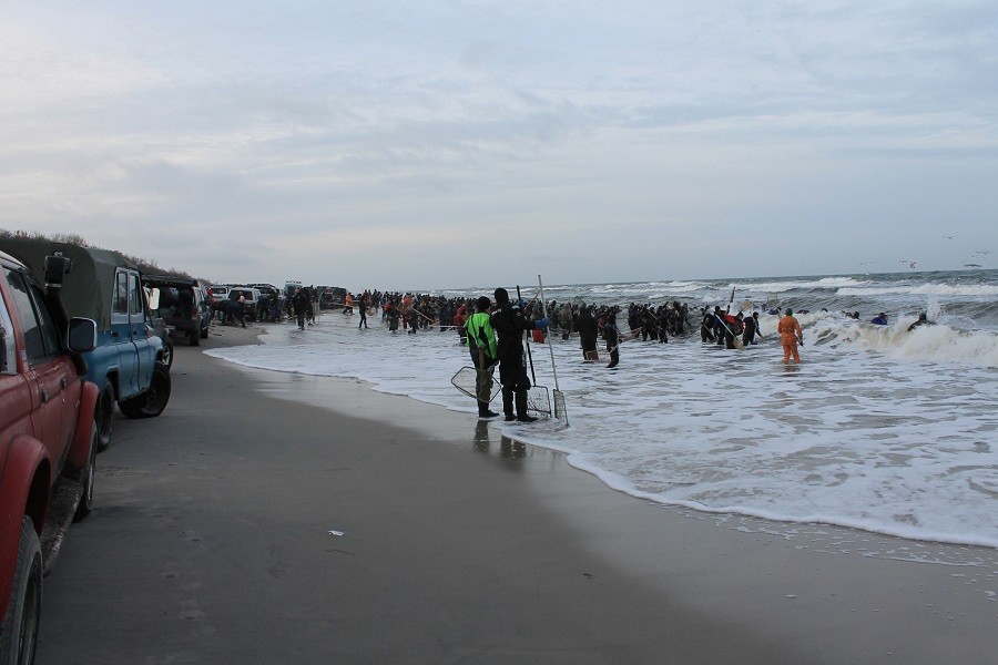 2015-11-13 14-08-18.JPG