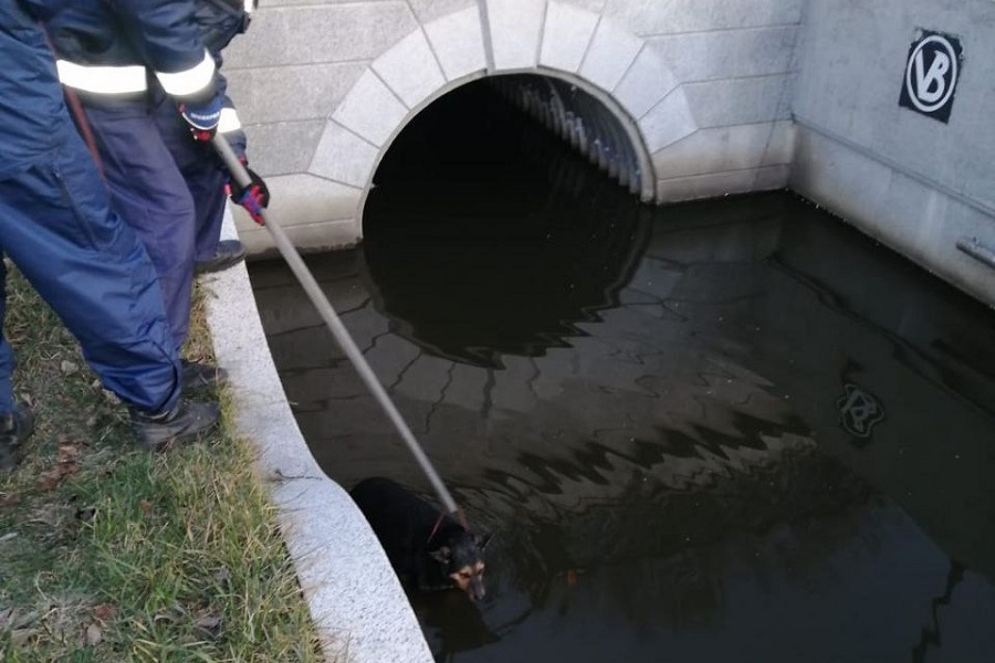 photo_2024-03-07_09-55-30 (1).jpg