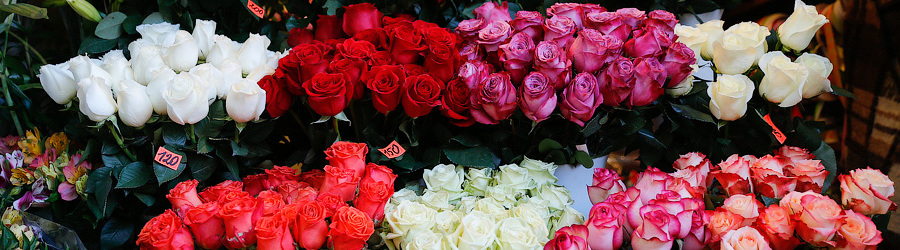 7764dde2a2844fd2f664607d338a4e7b (1).jpg