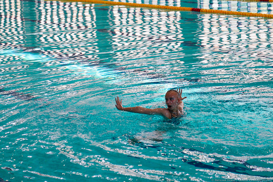 спорткомплекс уфа бассейн риммы баталовой. центр спорта южный. бассейн патриот кострома. бассейн в южном парке калининград. фок южный калининград.