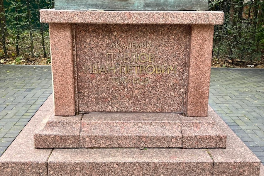 Фото: Светлана Быстрова