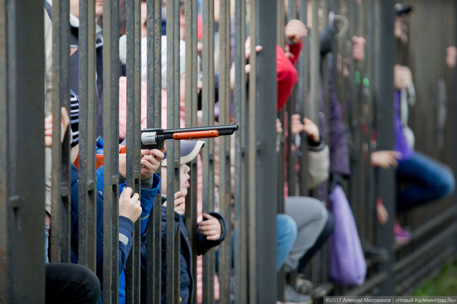 Фото: Алексей Милованов / Новый Калининград