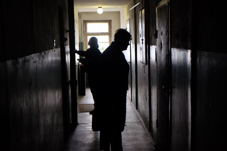 новый жилец в доме