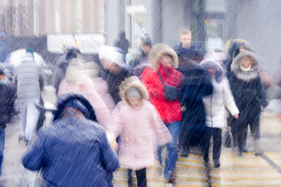 Фото: Виталий Невар / Новый Калининград