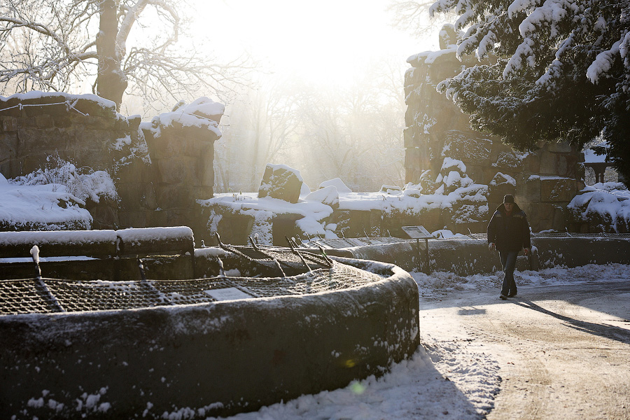 Фото: Виталий Невар / Новый Калининград Фото: Виталий Невар / Новый Калининград