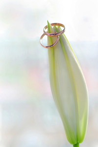 Суслопарова Марина